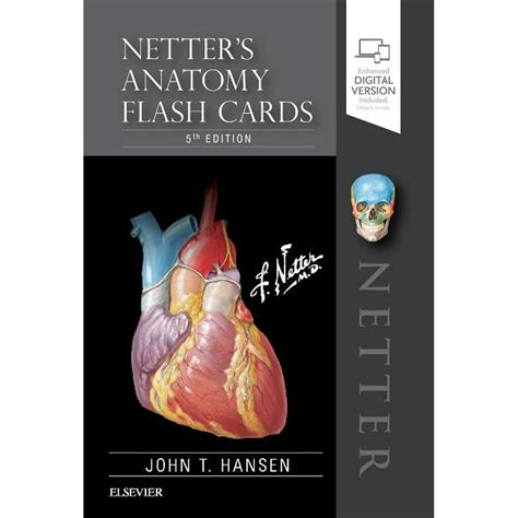 Anatomy netter flash cards - Netter's Anatomy Flash Cards by John T. Hansen, Paperback | Indigo Chapters.